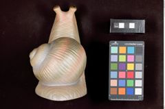 Foto einer Buchstütze in Schneckenform (NHMW-ZOO-MO-0081100-ETH-041)